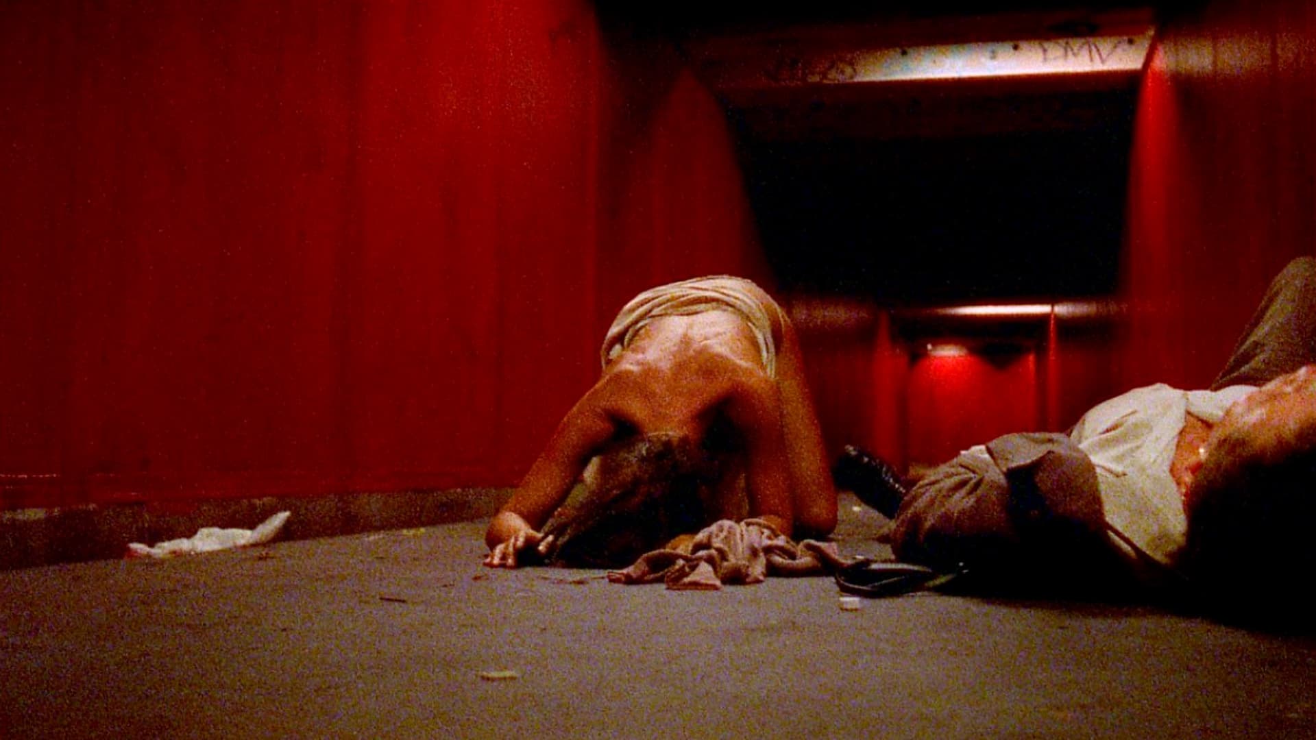 Irreversible — photo 5